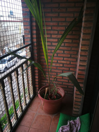 Departamento En Venta En Ciudadela