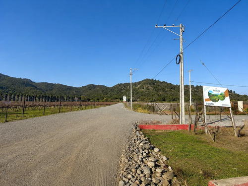 Parcela 5000m2 En Proyecto Los Avellanos, Zapallar, Curicó