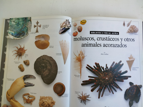 Libro Moluscos Y Crustaceos-biblioteca Visual Altea-1990