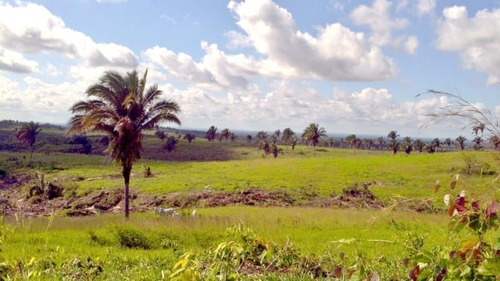 Imagem 10 de 27 de Fazenda 29.752 Alqueires, Rica Em Água Com Represa E Lagos, Triplo Aptidão, 20 Mil Alqueires Em Pastagens, Casa Sede Duplex, Pista De Pouso Asfaltada - Fa00131 - 70272151