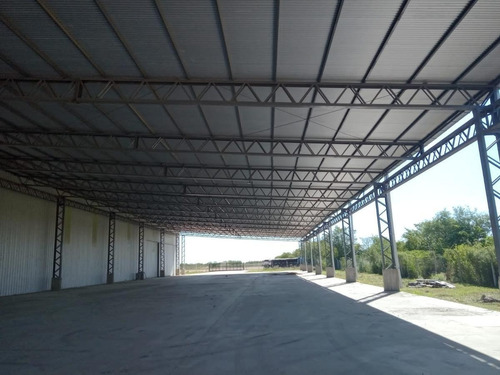 Deposito Alquiler 5000 M2 Cub 2000 M2 Semi Cub Zarate