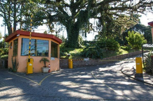 Imagem 25 de 30 de Terreno - Te00024 - 69351236