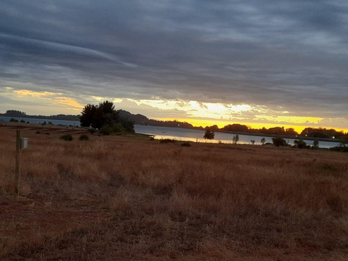 Vendo Parcela Con Cabaña En Lago Machicura D3 B2 Colbún