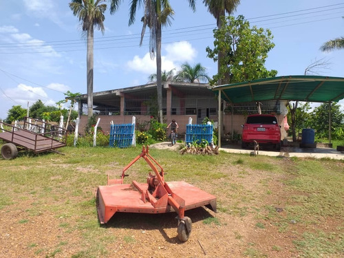 Finca En El Placer, Parroquia Carmen De Cura, Municipio Camatagua Del Estado Aragua. Pfml