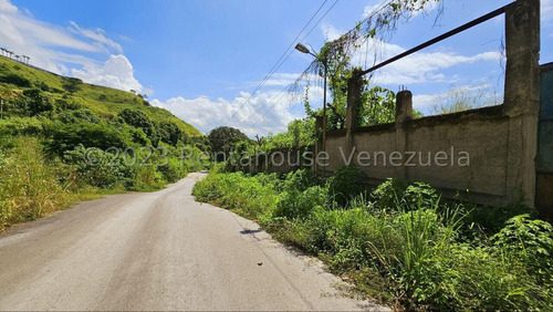 Terreno En Venta En Los Anaucos Cda 24-8682 Yf