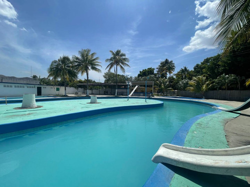 227360 Am* Venta De Terreno En Guacara