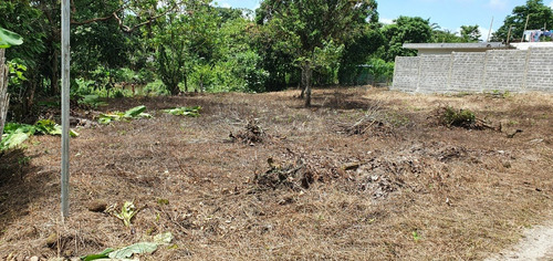 Imagen 3 de 7 de Terreno Totalmente Plano, Dentro De La Zona Urbana De La Parroquia La Independencia