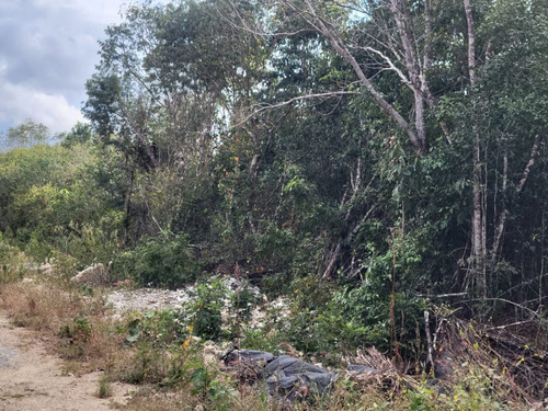 Terreno Venta Cancún Calle Alfonso Alarcón