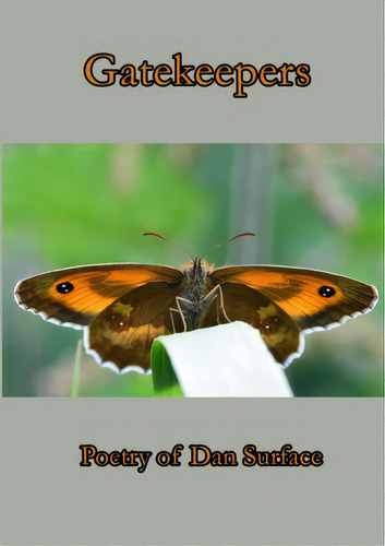 Gatekeepers, De Surface, Dan. Editorial Lulu Pr, Tapa Blanda En Inglés