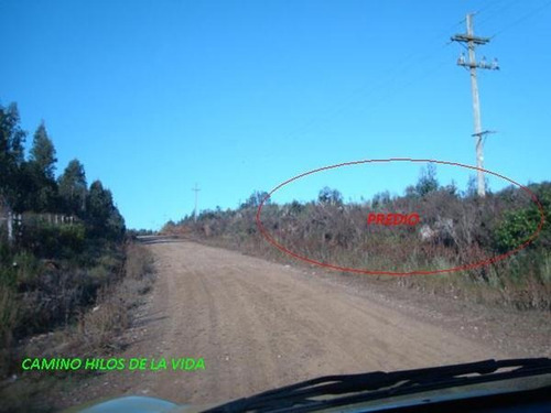 Campo En Venta En Lavalleja, 4 Hectáreas.