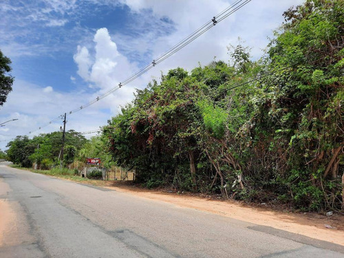 Granja Com 85 Mil M² - Casa Principal Com 3 Dormitórios À Venda - Emaús - Parnamirim/rn - Ch0002 - Ch0002