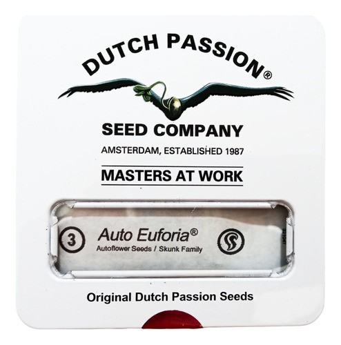Auto Euforia X3 Dutch Passion