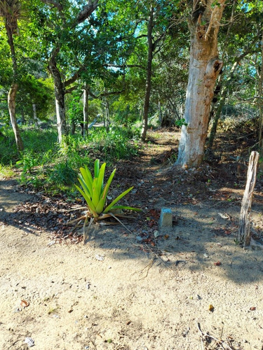 Imagem 14 de 23 de Terreno À Venda Em Arraial D'ajuda - Porto Seguro, Terreno Plano Com Área Limpa Pronta Para Construção, Ponto De Água, Energia, Área De Lazer E Playground