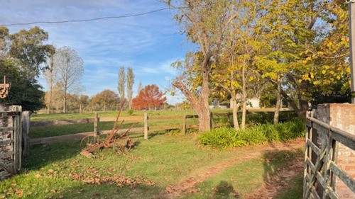 Campo De 4 Has 1602 M2 Muy Cerca De Ruta 12 Y La 9.