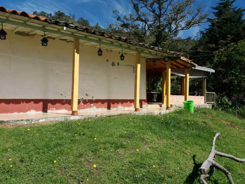 Vendo Finca Guarne 8.000 Mts