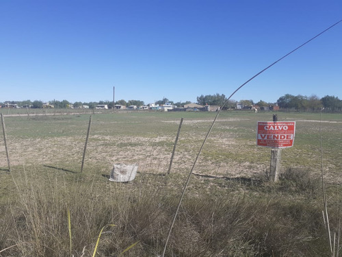 Oportunidad De Inversión: Quinta De 1 Hectárea Apta Para Loteo Ubicada En Suipacha, Provincia De Buenos Aires