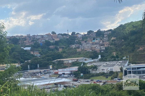 Imagem 13 de 13 de Lote À Venda No Alto Caiçaras - Código 276550 - 276550
