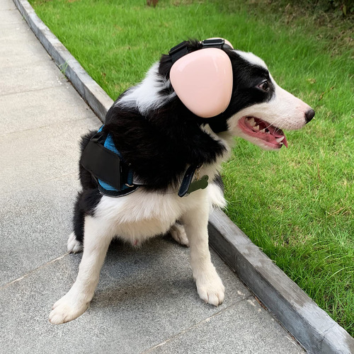 Protector De Oidos Para Perro Talla L/azul