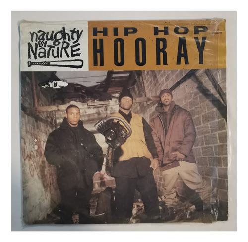 Hip Hop Hooray Naughty By Nature Lp Maxisingle Original Disc