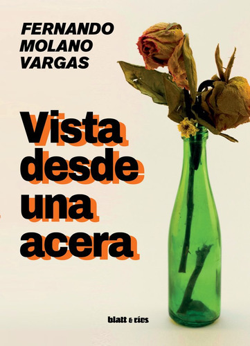 Vista Desde Una Acera, de Molano Vargas Fernando. Editorial Blatt & Rios, tapa blanda en español