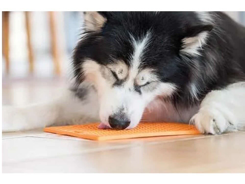 Imagem 3 de 3 de Tapete De Lamber: Alimentador Cães Gato Lickimat Buddy