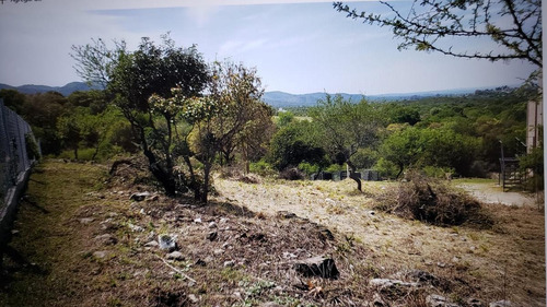 Imagen 5 de 10 de Lote Macrolote 4 Tierra Alta