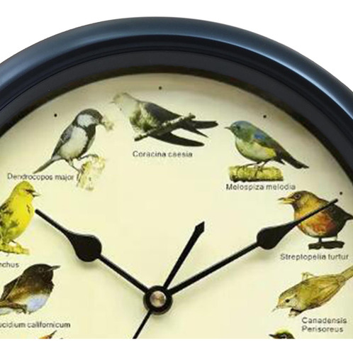 Reloj Musical Con Sonido De Pared Para Pájaros, Negro 32cm