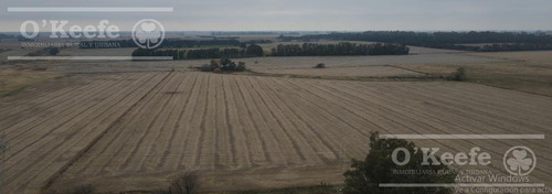 Imagen 3 de 29 de Chacra Agricola En Venta 32 Has- San Pedro