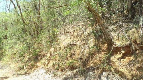 Imagem 4 de 4 de Terreno À Venda, 494 M² Por R$ 130.000,00 - Engenho Do Mato - Niterói/rj - Te3792
