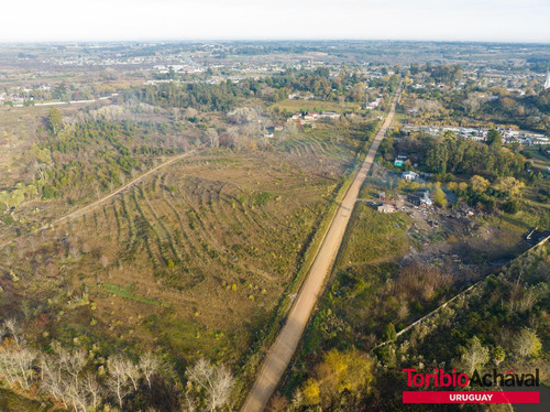 Venta Magnífico Terreno Para Urbanización En Zona De Barrios