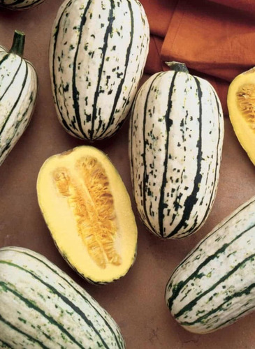 Semillas De Zapallo Delicata Sitopia