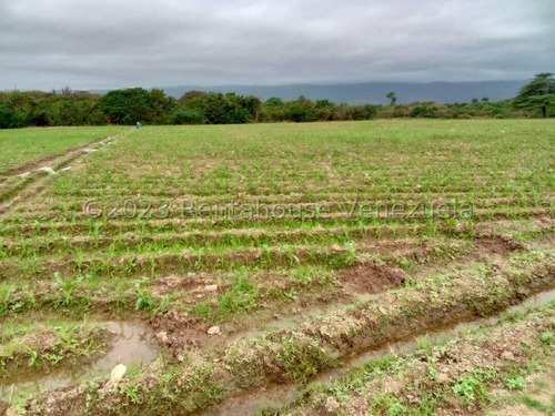 Carlos Colmenarez Vende Fabulosa Finca De 13ha. Con: 2 Lagunas, Agua Por Buco A Gravedad, Posee Electricidad 110 Y 220, Ubicada A Pocos Minutos Del Centro Del Tocuyo Con Acceso Directo De La Autopista