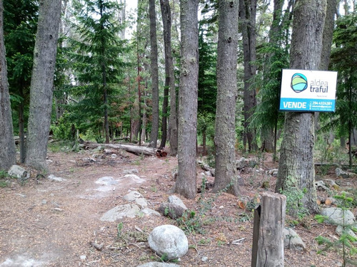 Venta De Lote Arbolado En Villa Traful Patagonia Argentina