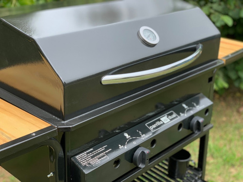 Parrilla Gas Grande Horno Pizzero Piedra Isi Dual G. Oficial