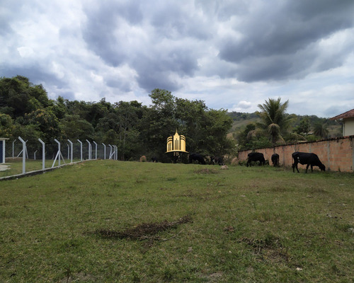 Imagem 4 de 6 de Lote No Centro - Esmeraldas - Te00254 - 34628828