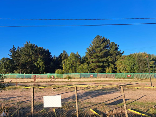 Parcela De 5000 M2 Factibilidad Pozo, Postación Eléctrica