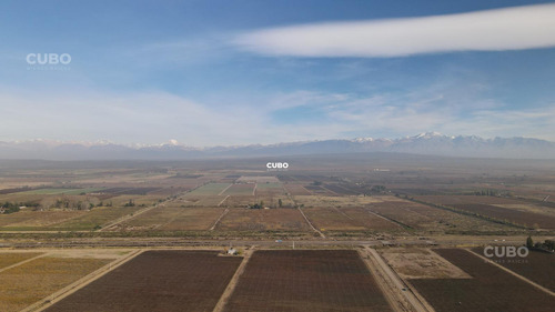 47 Hectareas De Campo Con Gran Frente En Ruta Nacional 40 (acceso Sur) Ugarteche Lujan De Cuyo