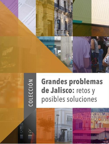 Libro Grandes Problemas De Jalisco: Retos Y Posibles Solucio
