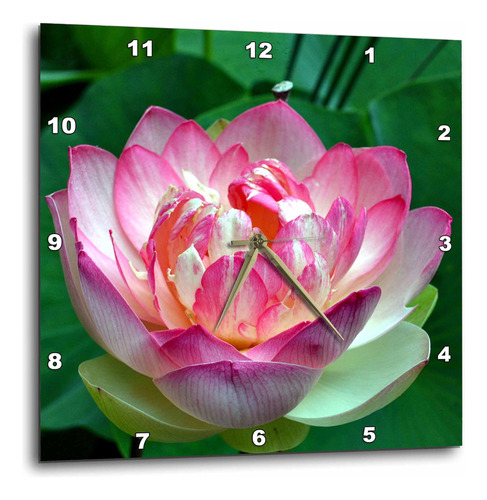 3drose Dpp__2 Un Hermoso Reloj De Pared Con Flor De Loto, 13