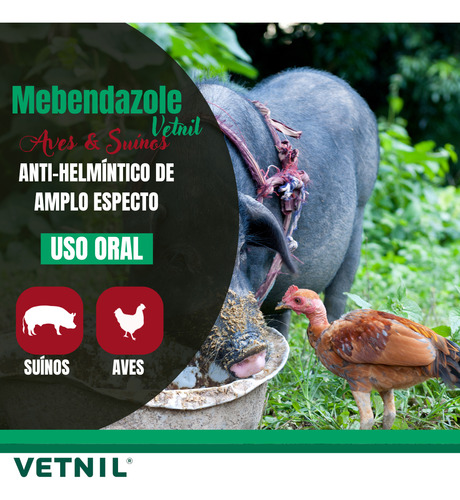 Mebendazole Caixa Com 20 X 30 Gr (vermifugo P/ Aves, Suínos)