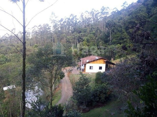 Sítio Rural A Venda Em Benedito Novo/sc - 1738c