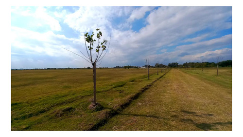 Imagen 5 de 8 de Campo - San Vicente