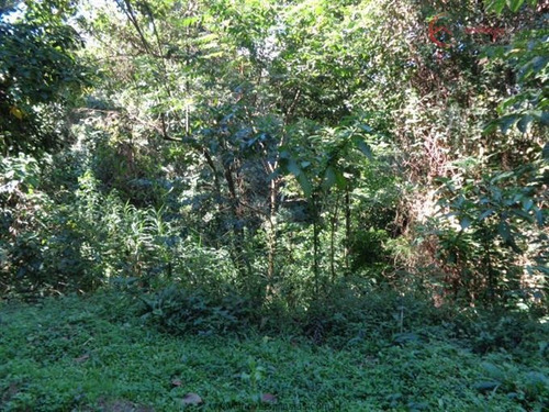 Imagem 7 de 14 de Terrenos Em Loteamento Fechado À Venda Em Mairiporã/sp - Compre O Seu Terrenos Em Loteamento Fechado Aqui! - 1370296