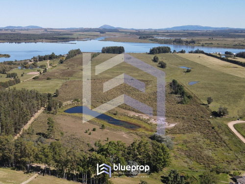 Imagen 2 de 10 de Chacra En Venta Con Vistas A La Laguna Del Sauce Y Tajamar Propio.