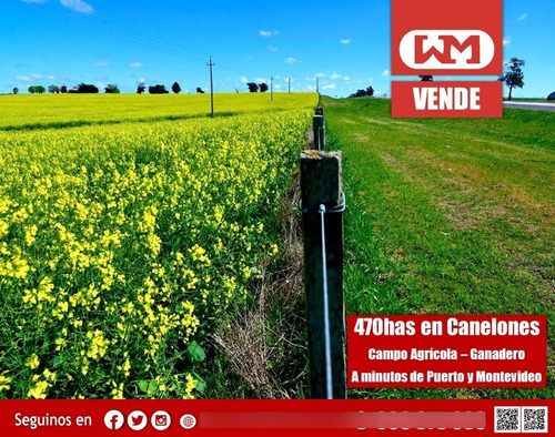 Venta Campo Canelones 470 Has Agrícola 75% Efectivo Alta Rentabilidad A 30 Minutos De Puerto