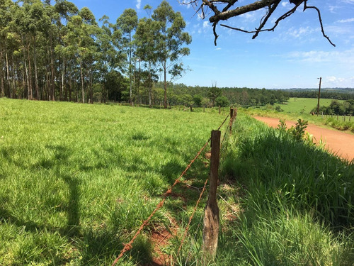 Imagen 17 de 21 de Lote En Venta 1219m2 En Puerto Rico - Loteo Clemens Blick