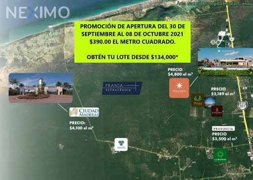 Imagen 6 de 8 de Terreno En Carretera Merida Progreso Gran Plusvalia Cerca De Playas