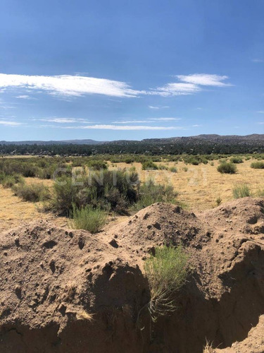 En Venta: Terreno Rustico En Valle De Guadalupe, En Ensenada, B.c.
