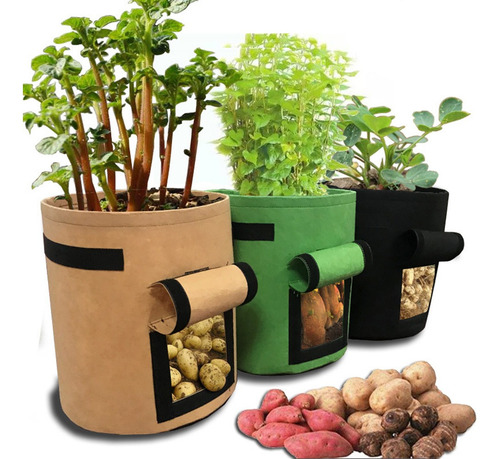 3 Bolsas De Plantación De Patata Dulce Para Plantar Plantas 3 Bolsas De Plantación De Patata Dulce Para Plantar Plantas