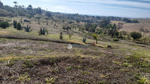 Imagem 4 de 22 de Chácara Repleta De Árvores Frutíferas - Ch0032